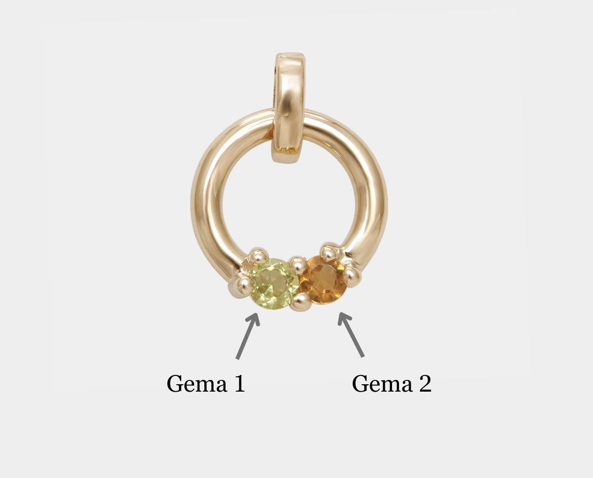 Dije diseño Círculo de la Vida con 2 gemas